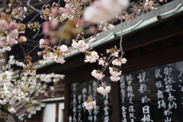 Naikan- Recunostinta, stare de gratie si arta japoneza a introspectiei